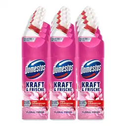 Netto Marken-Discount Domestos WC-Gel Kraft & Frische Floral 750 ml, 12er Pack Angebot
