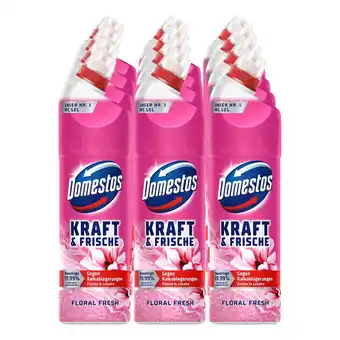 Netto Marken-Discount Domestos WC-Gel Kraft & Frische Floral 750 ml, 12er Pack Angebot