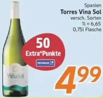inkoop Spanien Torres Vina Sol Angebot