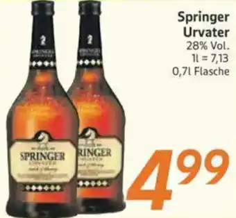 inkoop Springer Urvater Angebot