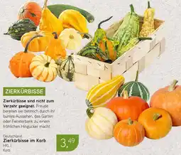 Dornseifer Zierkürbisse im Korb Angebot