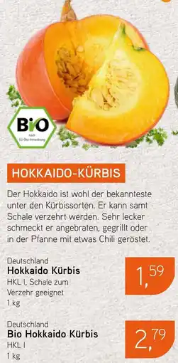 Dornseifer Deutschland Hokkaido Kürbis Angebot