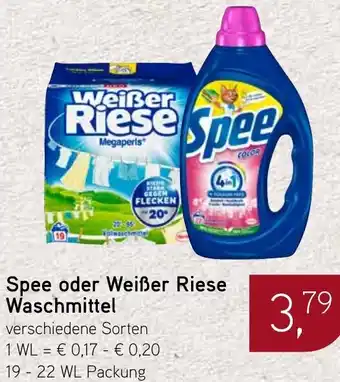 Dornseifer Spee oder Weißer Riese Waschmittel Angebot