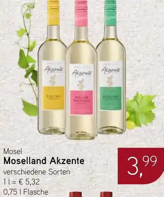 Dornseifer Mosel Moselland Akzente Angebot