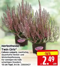 Herkules Baumarkt Herbstheide Twin Girls Angebot