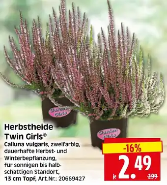 Herkules Baumarkt Herbstheide Twin Girls Angebot
