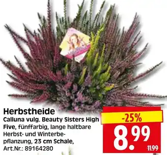 Herkules Baumarkt Herbstheide Angebot