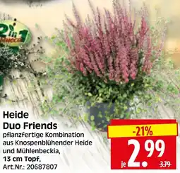 Herkules Baumarkt Heide Duo Friends Angebot