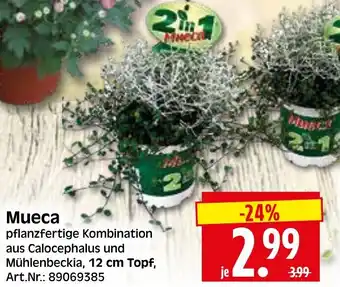 Herkules Baumarkt Mueca Angebot