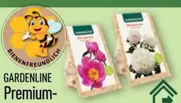 Aldi Nord Gardenline Premium Pfingstrosen Flame Angebot