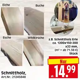 Herkules Baumarkt Schnittholz Angebot