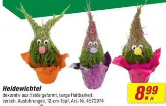 toom Baumarkt Heidewichtel Angebot