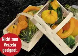 Edeka Edeka Mein Land Zierkürbis-Mix Angebot