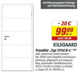 toom Baumarkt KILSGAARD Trendtür ,,Typ 17/14 R-L" Angebot