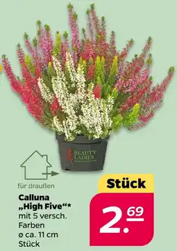 NETTO Beauty ladies calluna high five Angebot