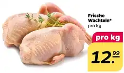 NETTO Frische wachteln Angebot
