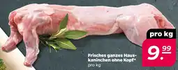 NETTO Frisches ganzes hauskaninchen ohne kopf Angebot