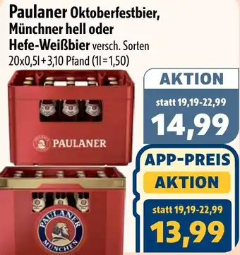 Aktiv Irma Paulaner Oktoberfestbier, Münchner hell oder Hefe-Weißbier Angebot