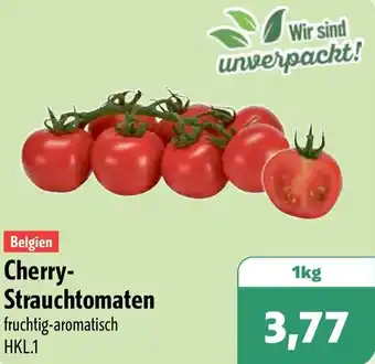 Aktiv Irma Belgien Cherry Strauchtomaten Angebot