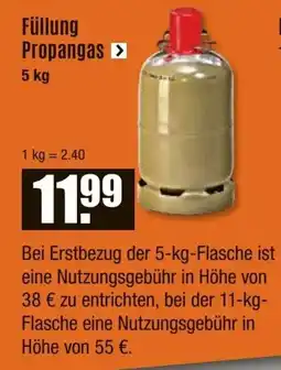 V Baumarkt Füllung Propangas Angebot