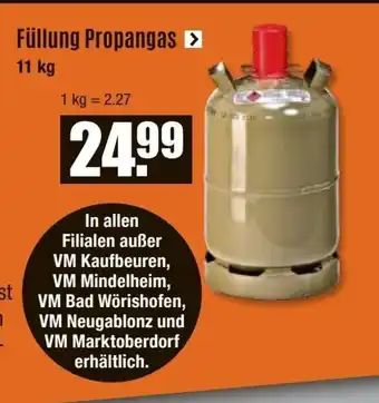 V Baumarkt Füllung Propangas Angebot