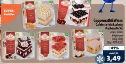 Aktiv Irma Coppenrath&Wiese Cafeteria fein&sahnig Kuchenstücke Angebot