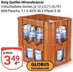 Globus Berg Quellen Mineralwasser Angebot