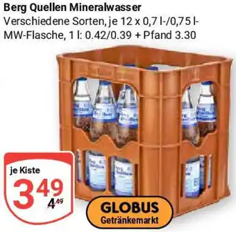 Globus Berg Quellen Mineralwasser Angebot