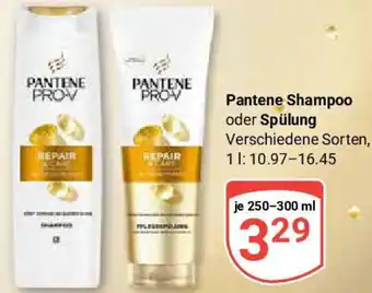 Globus Pantene Shampoo oder Spülung Angebot