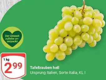 Globus Tafeltrauben hell Angebot