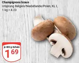 Globus Champignons braun Angebot