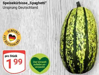 Globus Speisekürbisse ,,Spaghetti" Angebot