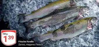 Globus Frische Forelle Angebot