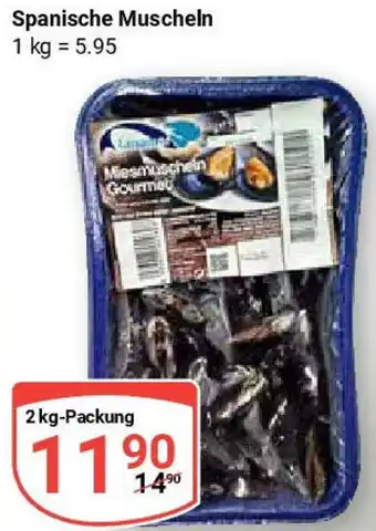 Globus Spanische Muscheln Angebot