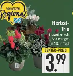 E-Center Herbst- Trio Angebot