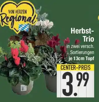 E-Center Herbst- Trio Angebot