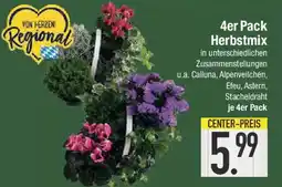 E-Center 4er Pack Herbstmix Angebot