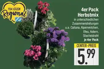 E-Center 4er Pack Herbstmix Angebot