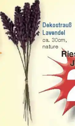 E-Center Dekostrauß Lavendel Angebot