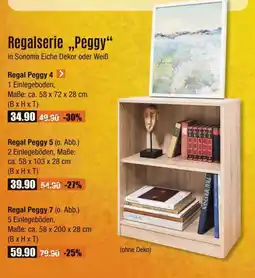 V Baumarkt Regalserie "Peggy" Angebot
