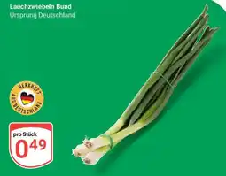 Globus Lauchzwiebeln Bund Angebot
