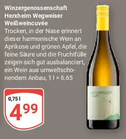 Globus Winzergenossenschaft Herxheim Wegweiser Weißweincuvée Angebot