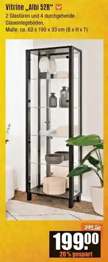 V Baumarkt Vitrine "Albi 52B" Angebot