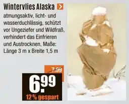 V Baumarkt Wintervlies Alaska Angebot