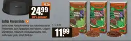 V Baumarkt Euflor Pinienrinde Angebot