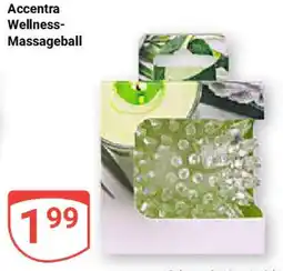 Globus Accentra Wellness- Massageball Angebot