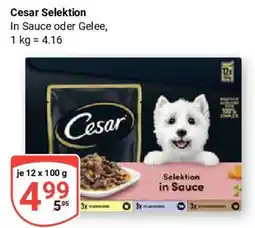 Globus Cesar Selektion Angebot