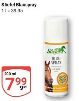 Globus Stiefel Blauspray Angebot
