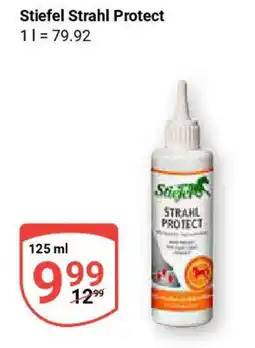 Globus Stiefel Strahl Protect Angebot