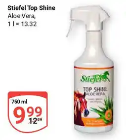 Globus Stiefel Top Shine Angebot